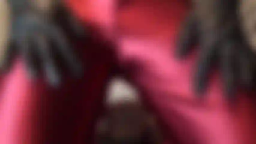 A senhora vivian, com calças de cetim vermelho brilhante.