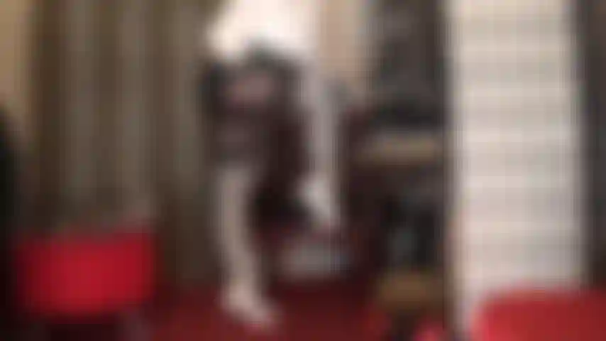 Meias brancas brilhantes e ligas sobre meias de spandex marrom metálico - que roupa incrivelmente linda de se adorar... Saltos brancos, blusa e luvas de couro pretas explorando lentamente as curvas maravilhosas da minha senhora.