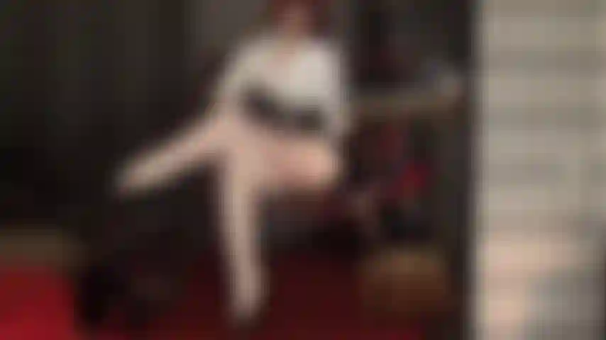 Sua deusa de náilon ordenha seu pau em suas pernas cruzadas em meia-calça branca extra brilhante.