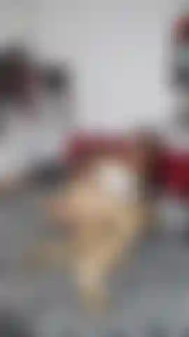 Com tesão anal e com brinquedos.