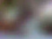 Balançando na minha bunda. Alongamento de coxa.