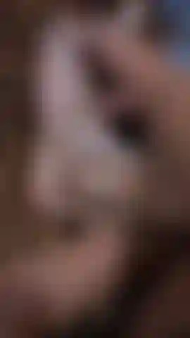 Leftfootwash720 (conve.