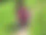 Peitos em público! Chupa brinquedo! Fetiches leggins.