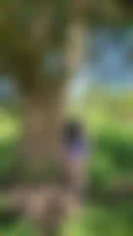 Countryside Cum, I strip off my outdoor gear under a tree