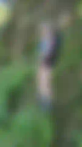 Outdoor Orgasm: I strip off my outdoor gear amongst the ferns