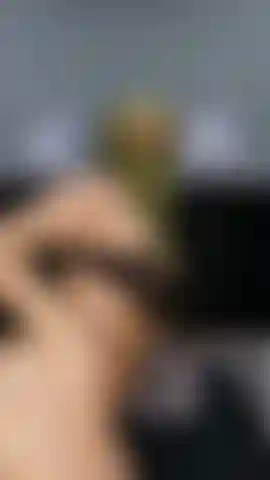 I play with my fingers and my big ass