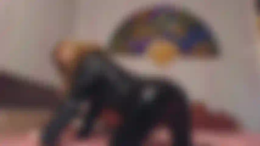 leather,fur ,latex, assjob,blowjob,anal,cum in mouth