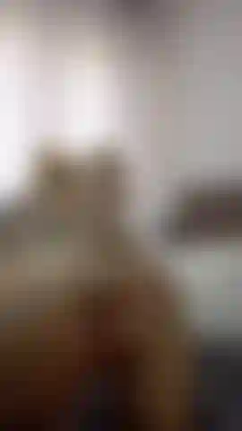 Enquanto faço anal com meu vibrador.