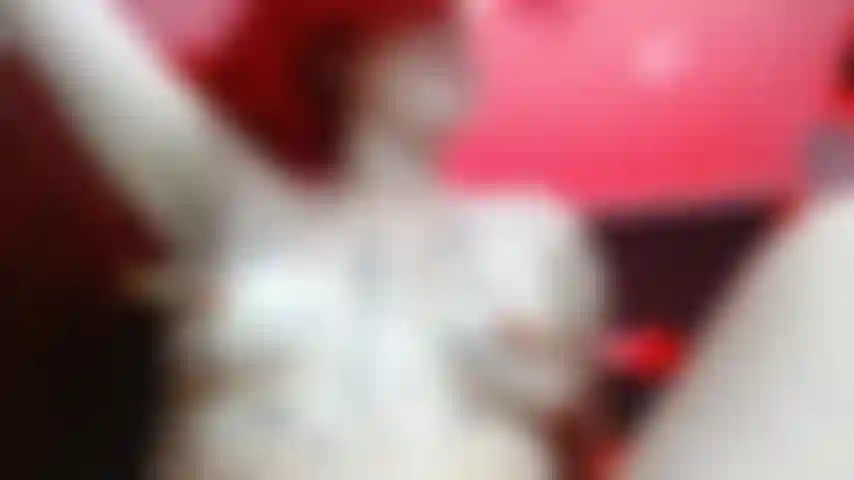 Nua, com a língua para fora, puxando meus grampos de mamilo. Observe-me brincar com dor e prazer.