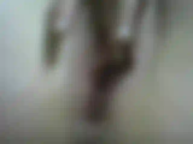 Feche a bucetinha com lábios longos e esfregue até ficar cremoso orgástico.