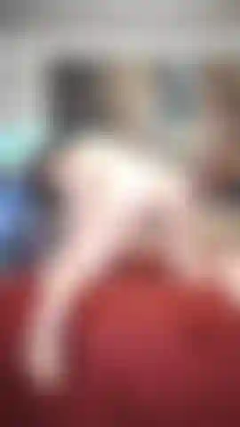 Deixe-me pular nele, depois lamber.