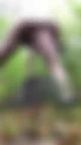 Vibrador anal na floresta