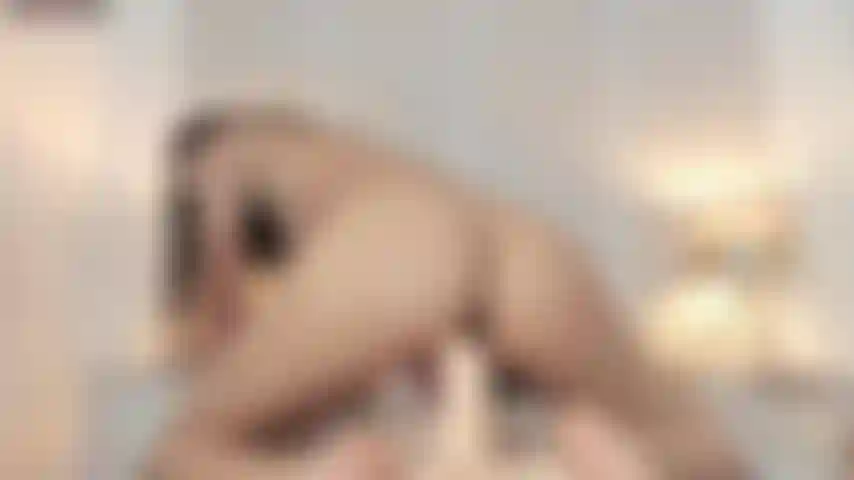 Me veja agora montando um pau duro até gozar.