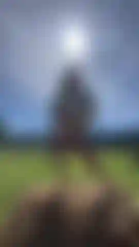 Watch this video!