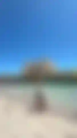 Watch this video!