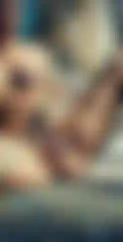 Jogo de buceta do arco-íris.