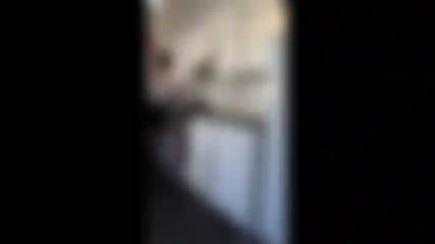 ' Cliente assustador', uma liga o namorado para reclamar do cliente assustador que acabou de chegar. Sua comida e espreme seu pão sob os calcanhares!