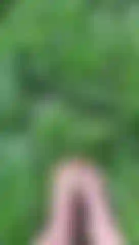 Estar na natureza! Meus pés tocando a grama fria é incrível!