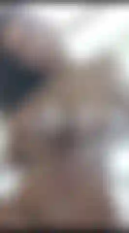 Fodam-se os peitos! Se perca entre meus peitos grandes!