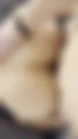 Me getting railed by my lover DanteValor…keep watching til the end for a satisfying back shot 🤤 he always hits my cervix 😊