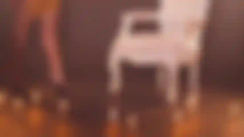 Dress to Thrill, live to tease!!!