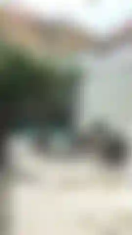 Fly on the wall- ever wondered how I make myself cum? ;)