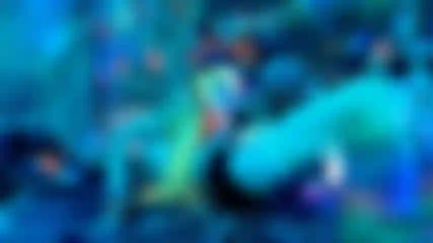 Rave gloryhole cei auto chupar recompensa.