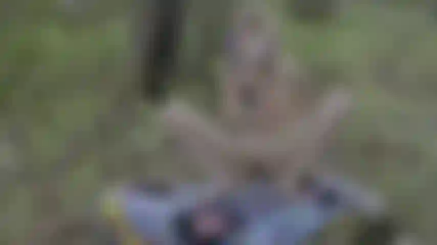 Goth babe orgasmos altos na floresta com jogo anal.