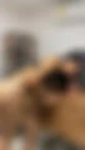 Faço boquete na área de trabalho do meu chefe enquanto ele não está.