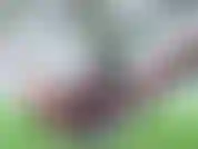 Adoro ficar na minha rede quando está quieto. Todos os meus vizinhos podem me ver, mas eu realmente não me importo :) então eu coloco algo fofo e brinco com minha buceta cremosa!