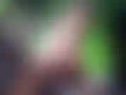 Saio com meu brinquedo gigante de 9 em, meu brinquedo anal e meu óleo de coco para gozar. Meus peitos estão cheios de leite para brincar e eu ando na cadeira com meu brinquedo grande. Aí eu acabo fodendo minha bunda com tanta força que eu esguicho!