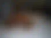 Estava deitada na cama de meia-calça enquanto estava no skype com meu namorado. Eu estava me exibindo para ele com minha vibração, mas mal sabia eu que você estava me espionando quando estávamos saindo... Seu pervertido!!