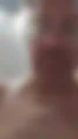 Preview of what you will be seeing