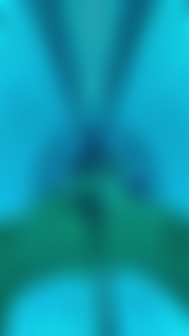 Camas de bronzeamento artificial são uma febre!