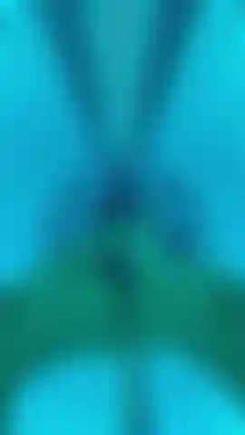 Camas de bronzeamento artificial são uma febre!