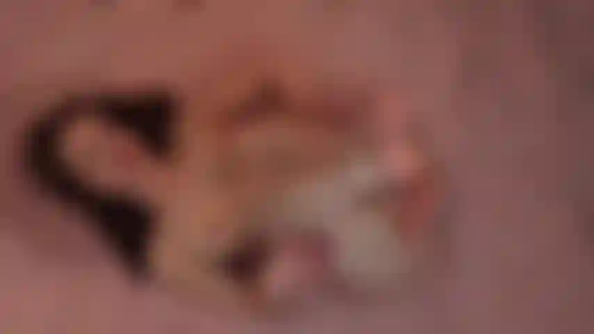 Deusa cabeluda provocante.