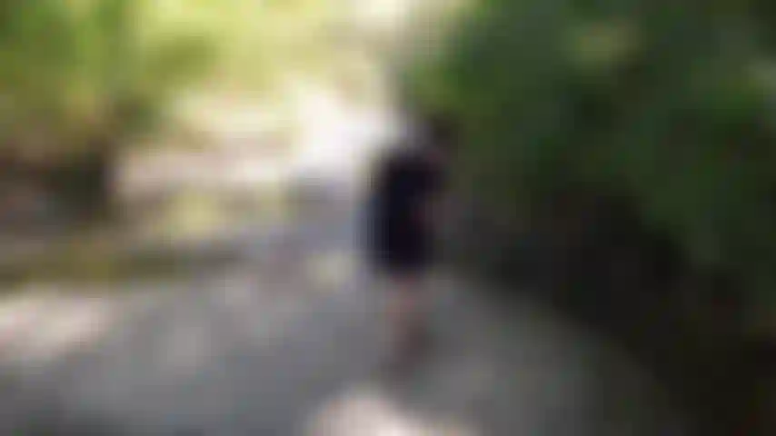 Levei minha varinha mágica para uma caminhada ao longo de