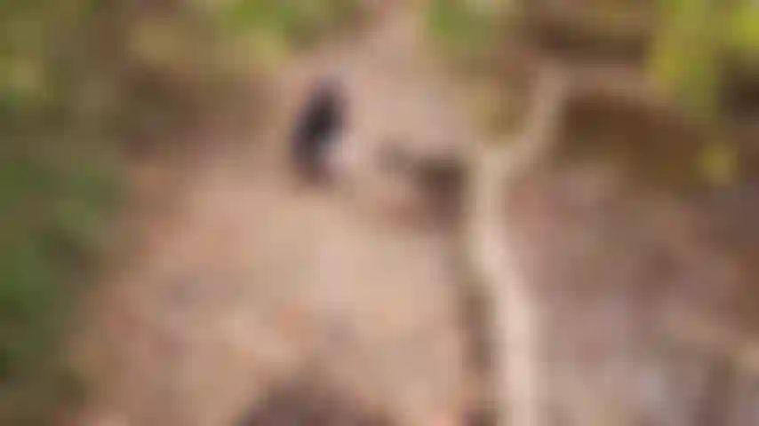 Volte para o riacho esguicho. Observe esse dedo milf gordo