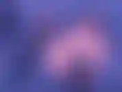 Assista meu show particular.