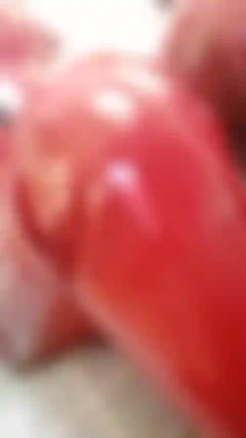Segure firme em pvc vermelho dedilhado de versão curta.