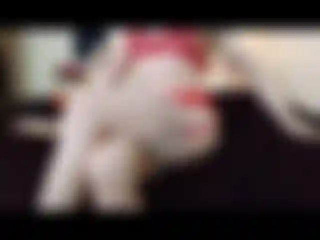 Pleasurestate usando vibrador blackglass.