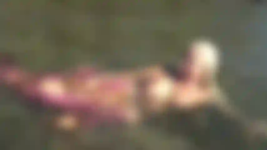 Sereia + vibrador de axila.