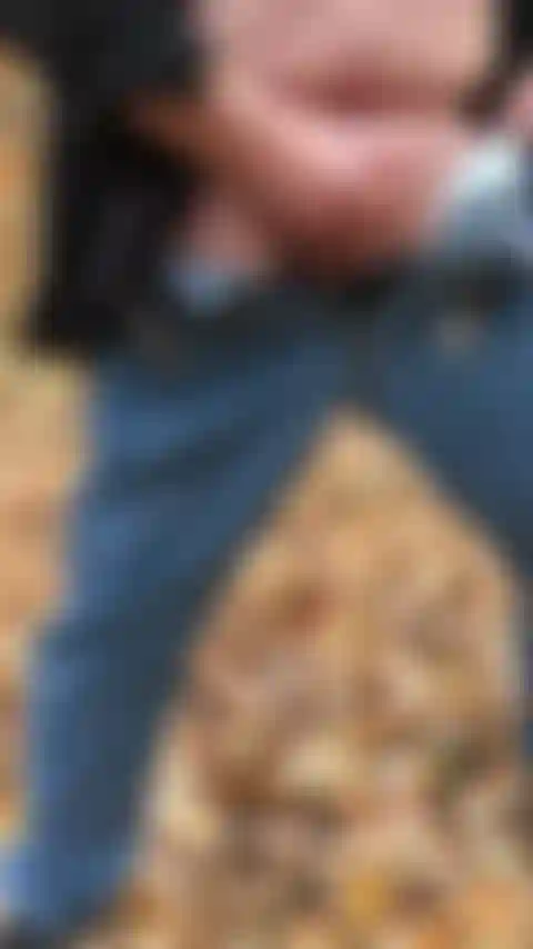 Mvf_111021_4397_sam goza na floresta.