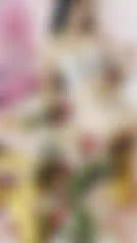 Bem-vinda primavera.