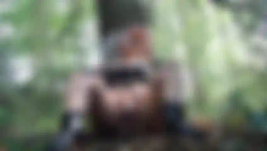 Masturbação ao ar livre - dedilhado cumshow na floresta.