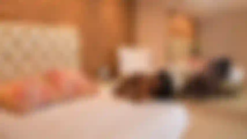 SUCK YOUR WHITE COCK AND FUCK