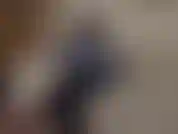 Chav de meia-calça tirando sarro do seu fetiche. Você tem uma queda por vadias comuns como eu, um fetiche tão embaraçoso, mas você não pode evitar. Você adora foder prostitutas baratas e inúteis usando meia-calça.