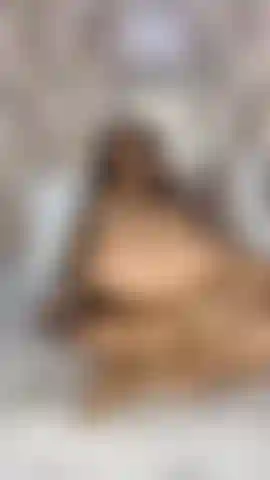 Minha bunda apertada está sendo fodida por esse vibrador incrível.