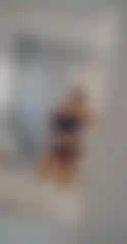 Quando ela é gorda e tem um grande saque.