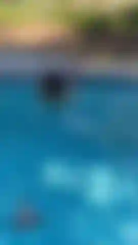 15 Minutos fodendo e chupando meu torso amigo isaac na minha piscina.